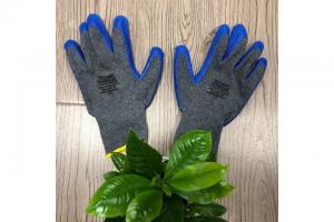 Latex Glove-XG27-206