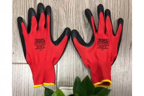 Latex Glove-XG27-205 Latex Glove-XG27-205